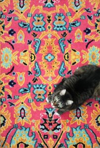 Cat on Colourful Rug